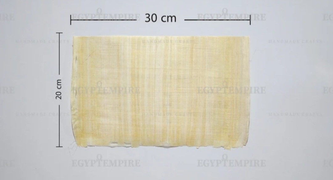 ورق بردي 